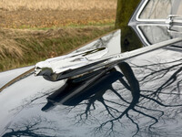 Thumb Image 1