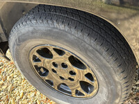 Thumb Image 1