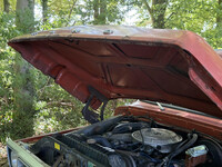 Thumb Image 1