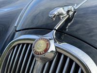Thumb Image 1